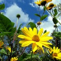 Image Copyrights to rkramer62 on Flickr