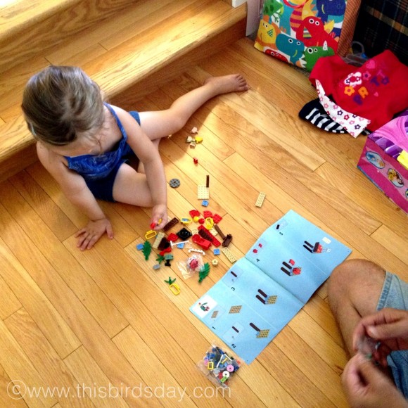 photo(31)