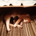 20120912-235300.jpg