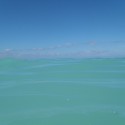 View out while swimming.