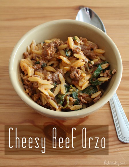 Delicious and easy cheesy beef orzo recipe post