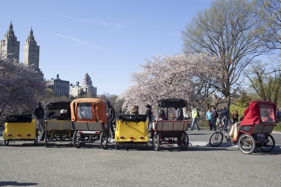 Central Park Spring