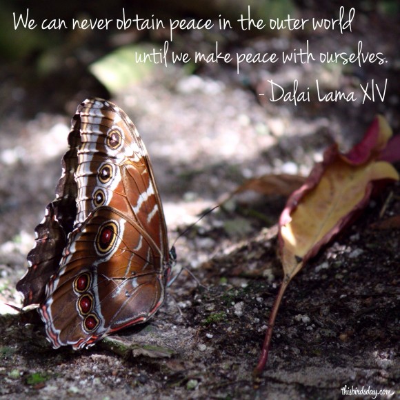 We can never obtain peace in the outer world until we make peace with ourselves. Image copyright: Sheri Landry